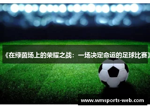 《在绿茵场上的荣耀之战：一场决定命运的足球比赛》